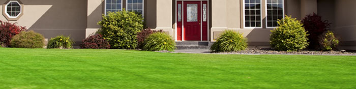 Photo Landscaping Services